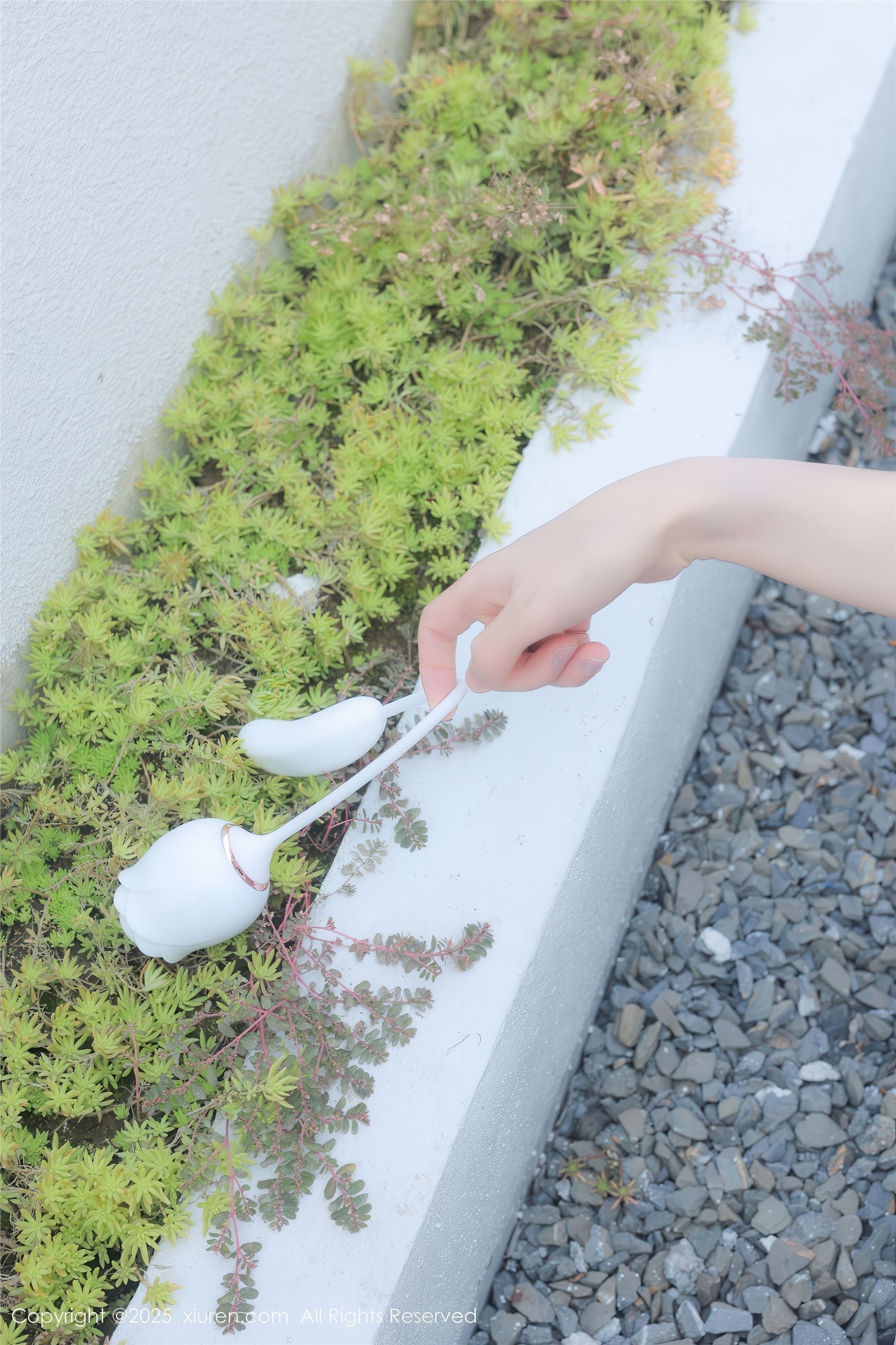 Xiuren秀人网 2025.02.07 NO.9851 桃妖夭